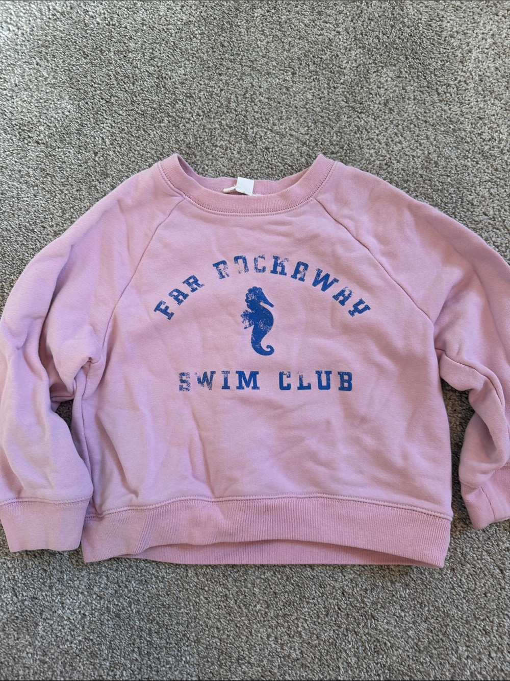 Crewcuts Pink Sweatshirt with Blue 'Swim Club' Print